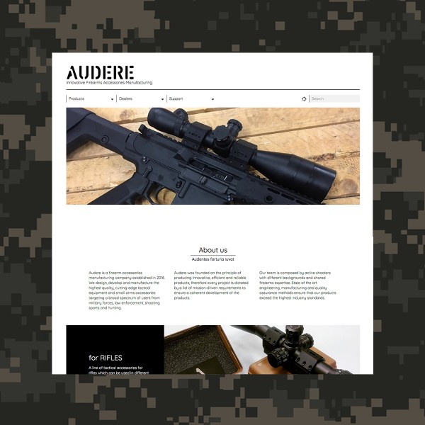 Sito Web Audere